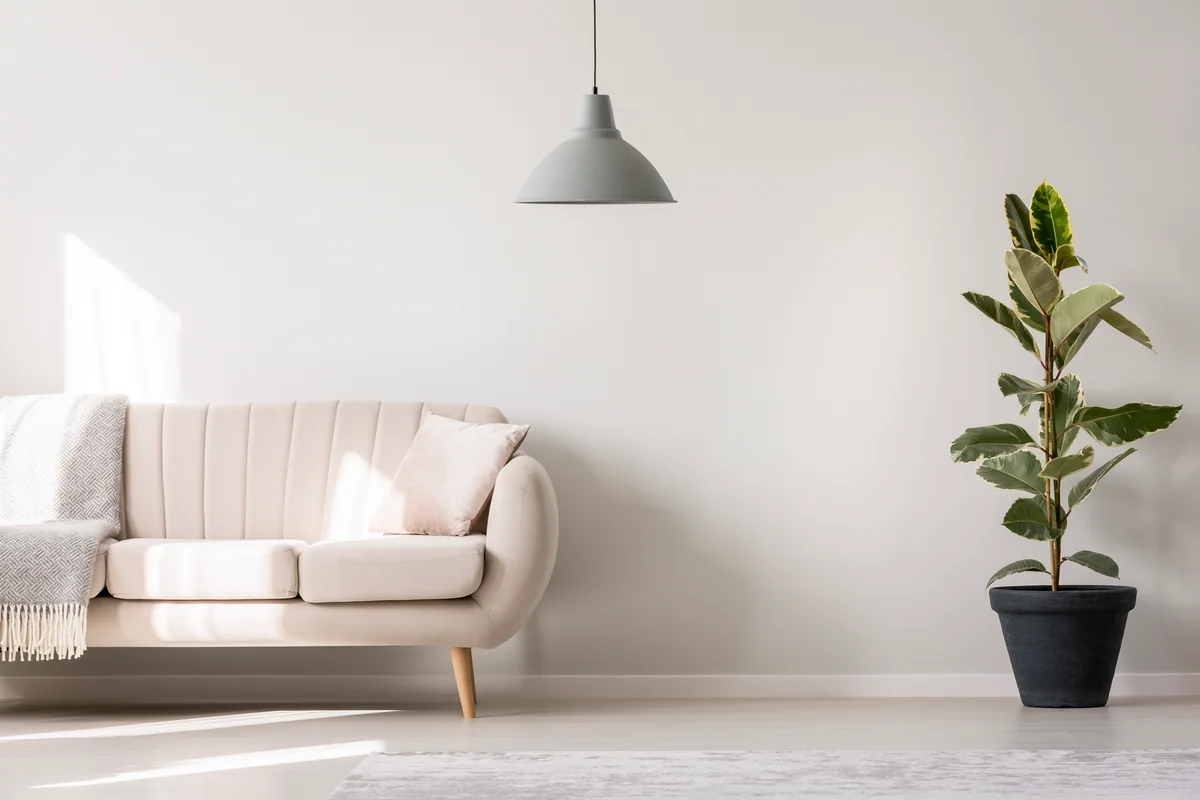 Bright living room with a pale sofa, pendant light, and tall plant